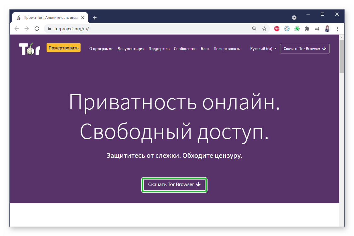 инструкция к браузеру тор на русском даркнет2web
